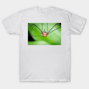 An alien looking harvestman (daddy longleg) T-Shirt